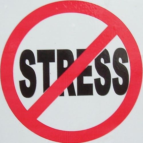 Lee más sobre el artículo Stress: How to Manage and Reduce It